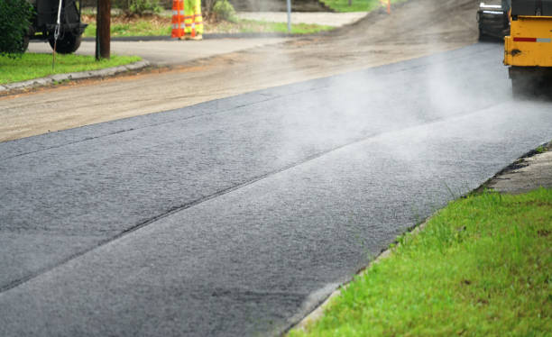 Best Professional Driveway Pavers  in Tioga, ND